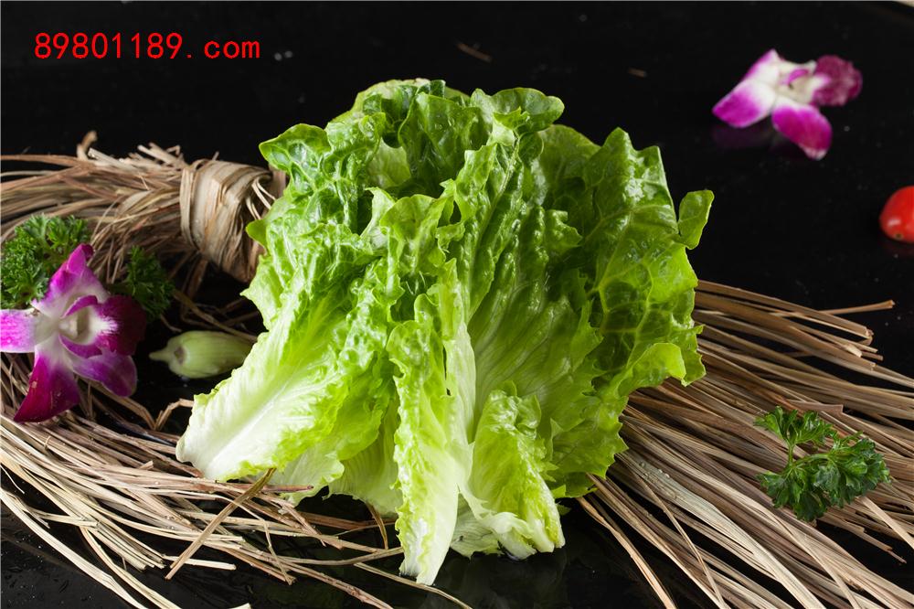 生菜